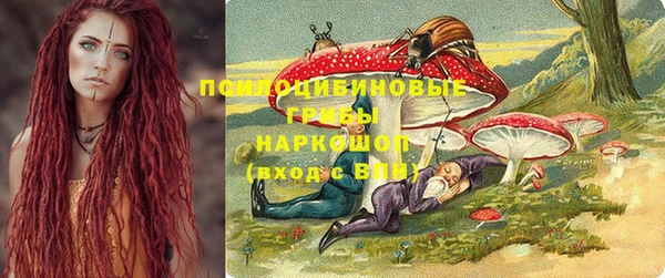 меф Каменск-Шахтинский
