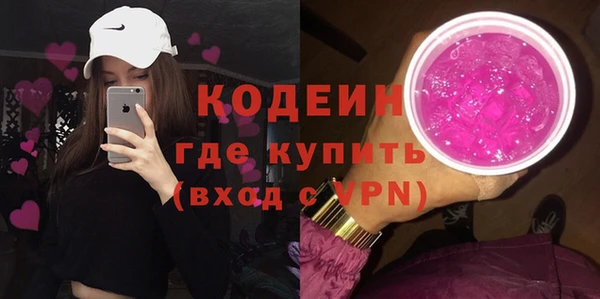 ГАЛЛЮЦИНОГЕННЫЕ ГРИБЫ Инта
