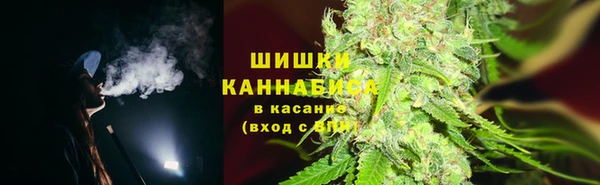 бутират Инсар