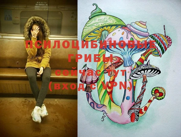 ГАЛЛЮЦИНОГЕННЫЕ ГРИБЫ Инта