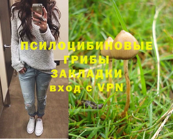 ГАЛЛЮЦИНОГЕННЫЕ ГРИБЫ Инта