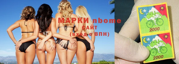 ГАЛЛЮЦИНОГЕННЫЕ ГРИБЫ Инта