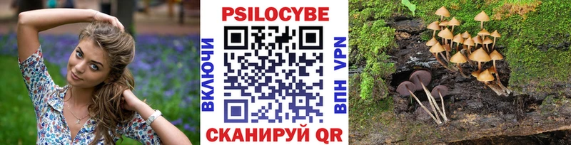 МЕГА ТОР  Коммунар  Псилоцибиновые грибы Magic Shrooms  как найти наркотики 