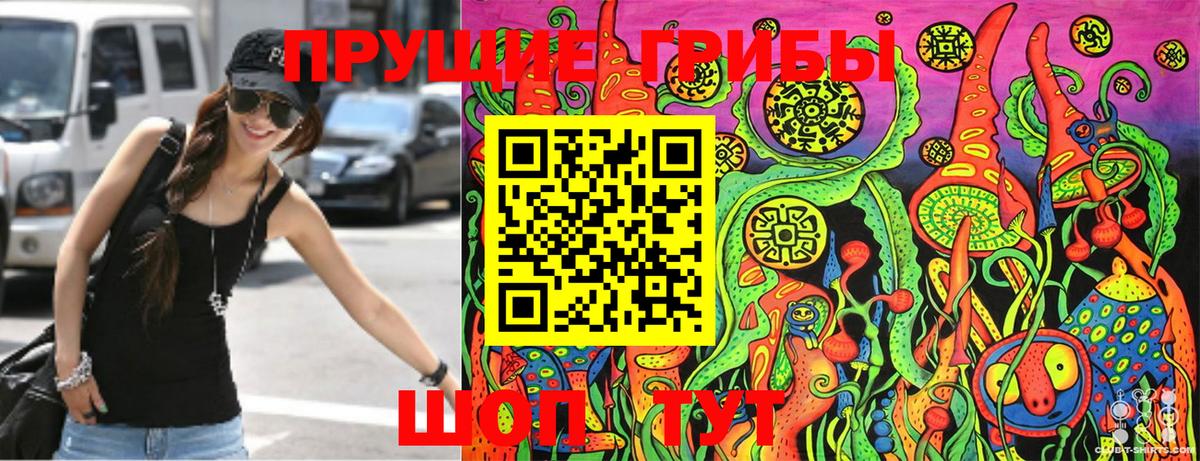 Коммунар  Псилоцибиновые грибы GOLDEN TEACHER  Псилоцибиновые грибы MAGIC MUSHROOMS  Вход с VPN 