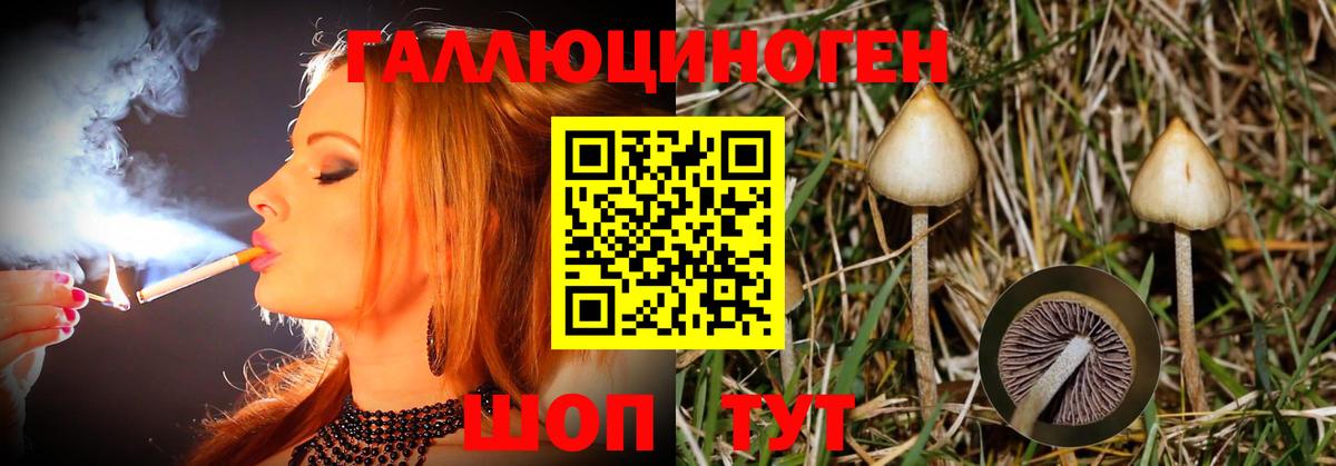 Псилоцибиновые грибы MAGIC MUSHROOMS Коммунар